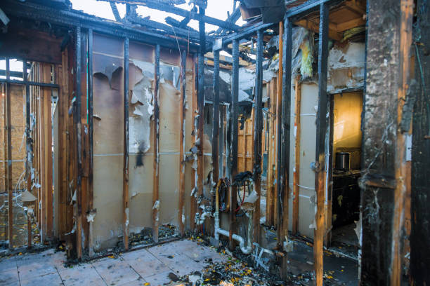 Professional Fire Damage Repair technician working in Cambria, IL